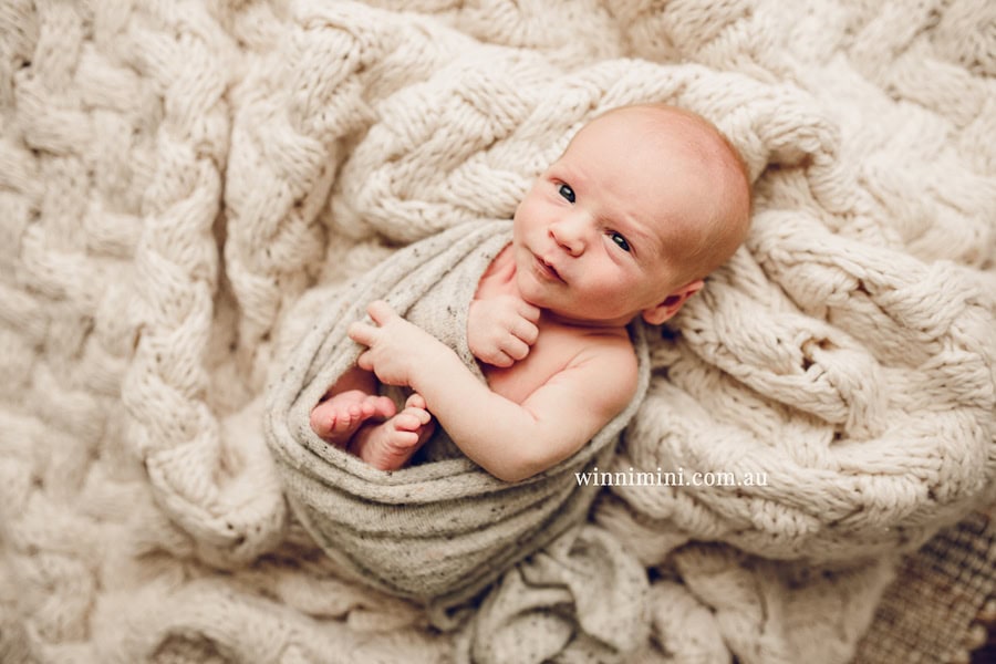newborn baby family photographer tanha photography photograph photos photo babies gold coast brisbane the best family picture pictures tanha basile winni mini