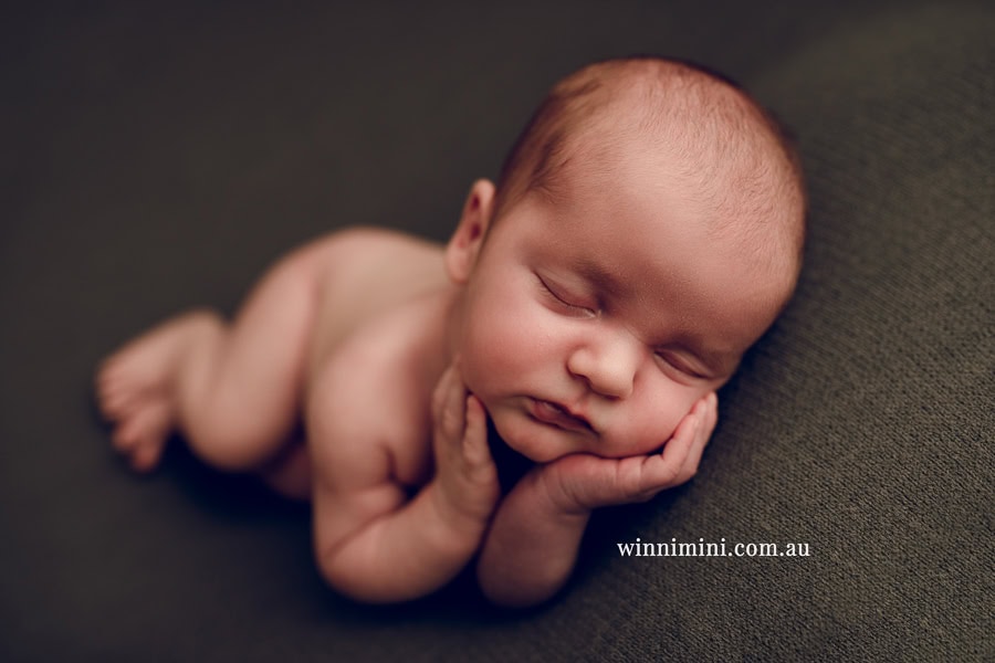 newborn baby family photographer tanha photography photograph photos photo babies gold coast brisbane the best family picture pictures tanha basile winni mini