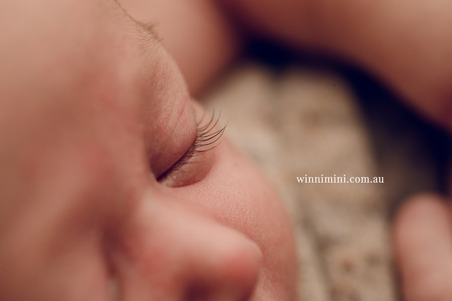 newborn baby family photographer tanha photography photograph photos photo babies gold coast brisbane the best family picture pictures tanha basile winni mini