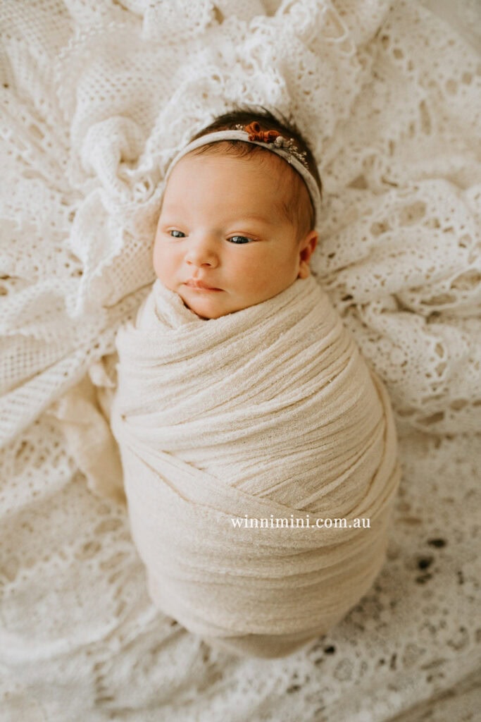 newborn baby family photographer tanha photography photograph photos photo babies gold coast brisbane the best family picture pictures tanha basile winni mini