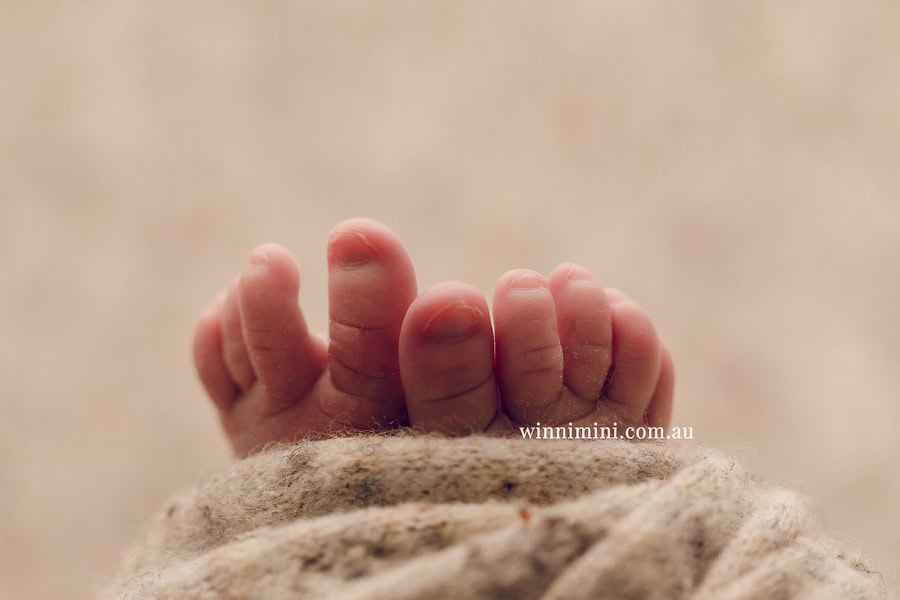 newborn baby family photographer tanha photography photograph photos photo babies gold coast brisbane the best family picture pictures tanha basile winni mini