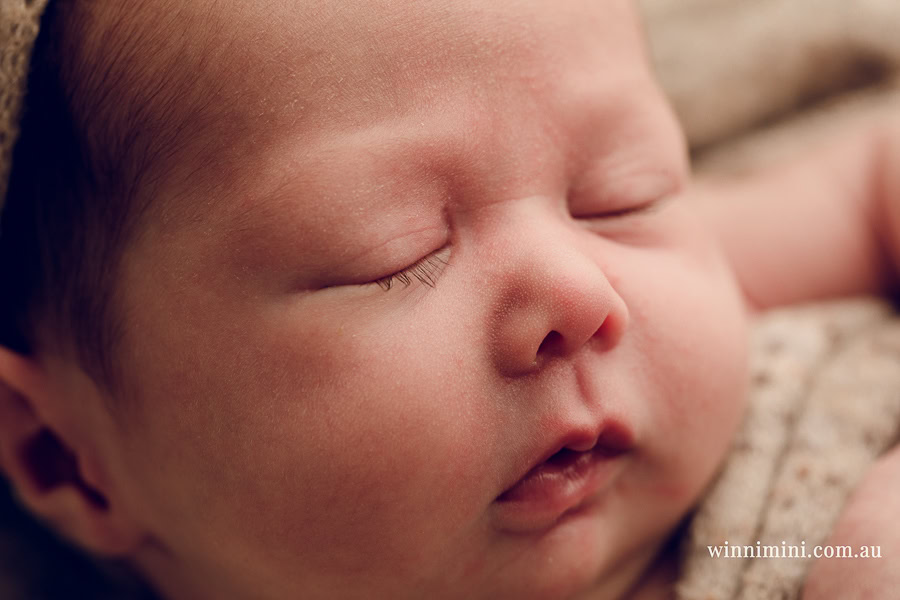 newborn baby family photographer tanha photography photograph photos photo babies gold coast brisbane the best family picture pictures tanha basile winni mini
