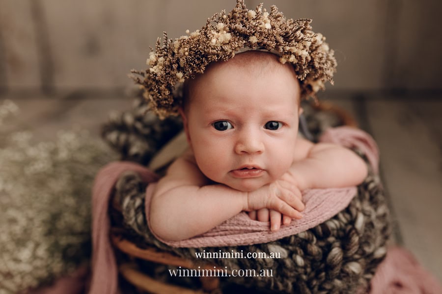 newborn baby family photographer tanha photography photograph photos photo babies gold coast brisbane the best family picture pictures tanha basile winni mini