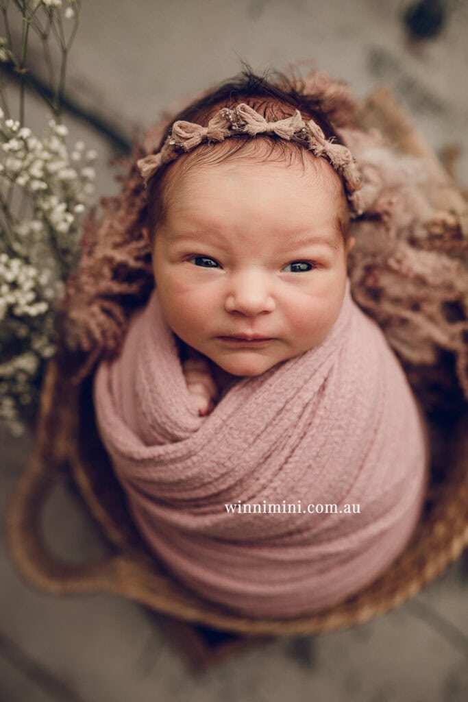 newborn baby family photographer tanha photography photograph photos photo babies gold coast brisbane the best family picture pictures tanha basile winni mini