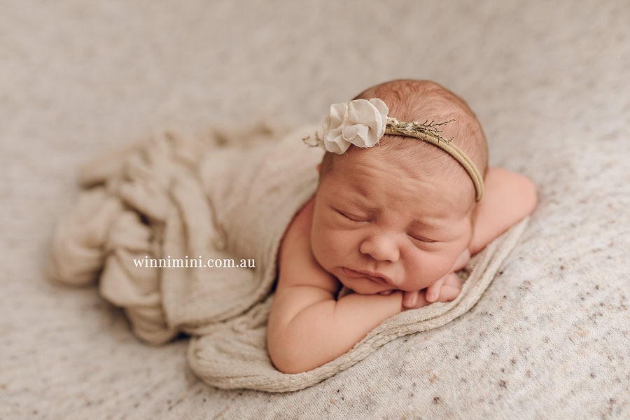 newborn baby family photographer tanha photography photograph photos photo babies gold coast brisbane the best family picture pictures tanha basile winni mini