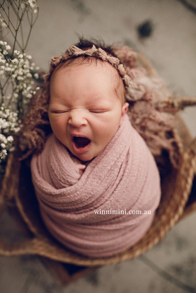 newborn baby family photographer tanha photography photograph photos photo babies gold coast brisbane the best family picture pictures tanha basile winni mini