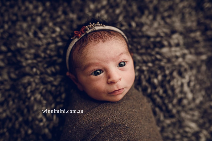 newborn baby family photographer tanha photography photograph photos photo babies gold coast brisbane the best family picture pictures tanha basile winni mini