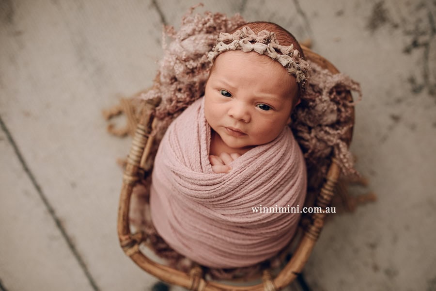 newborn baby family photographer tanha photography photograph photos photo babies gold coast brisbane the best family picture pictures tanha basile winni mini