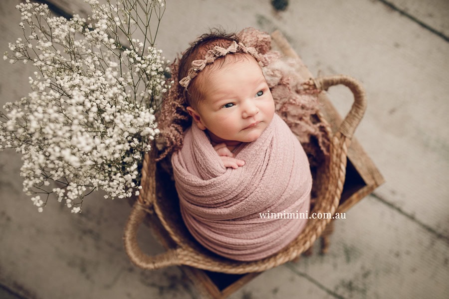 newborn baby family photographer tanha photography photograph photos photo babies gold coast brisbane the best family picture pictures tanha basile winni mini