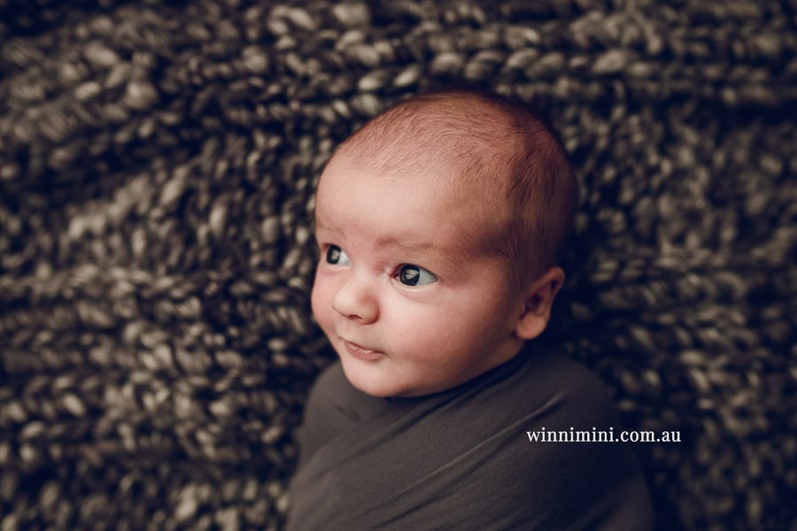 newborn baby family photographer tanha photography photograph photos photo babies gold coast brisbane the best family picture pictures tanha basile winni mini
