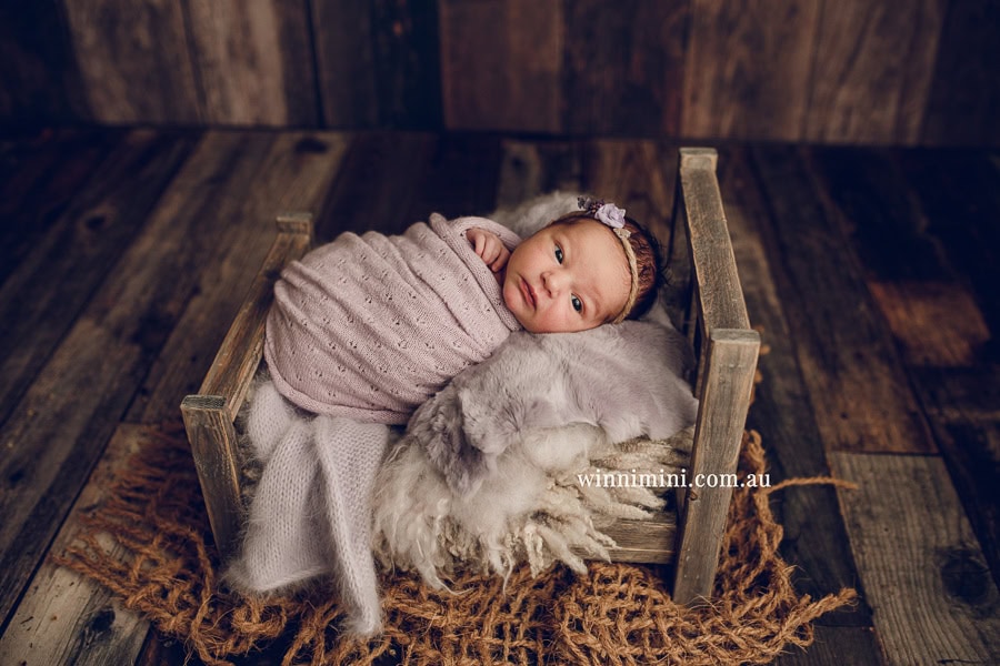 newborn baby family photographer tanha photography photograph photos photo babies gold coast brisbane the best family picture pictures tanha basile winni mini
