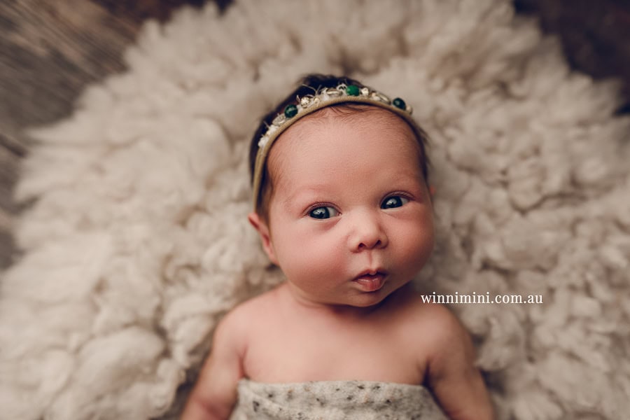 newborn baby family photographer tanha photography photograph photos photo babies gold coast brisbane the best family picture pictures tanha basile winni mini