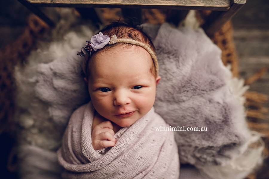 newborn baby family photographer tanha photography photograph photos photo babies gold coast brisbane the best family picture pictures tanha basile winni mini