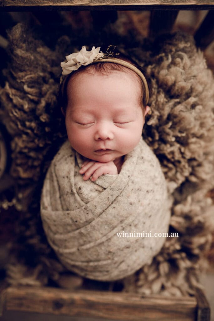 newborn baby family photographer tanha photography photograph photos photo babies gold coast brisbane the best family picture pictures tanha basile winni mini