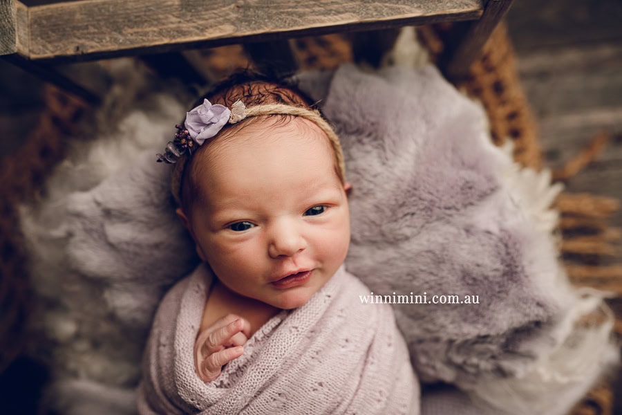 newborn baby family photographer tanha photography photograph photos photo babies gold coast brisbane the best family picture pictures tanha basile winni mini