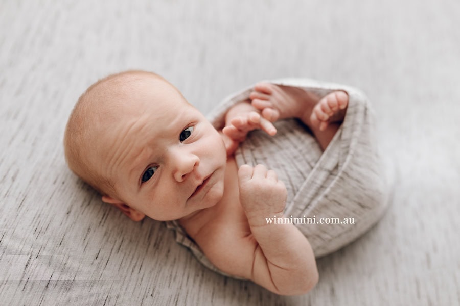 newborn baby family photographer tanha photography photograph photos photo babies gold coast brisbane the best family picture pictures tanha basile winni mini