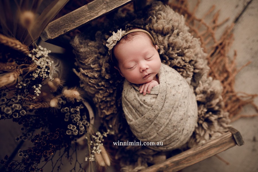 newborn baby family photographer tanha photography photograph photos photo babies gold coast brisbane the best family picture pictures tanha basile winni mini