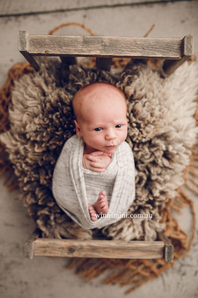 newborn baby family photographer tanha photography photograph photos photo babies gold coast brisbane the best family picture pictures tanha basile winni mini