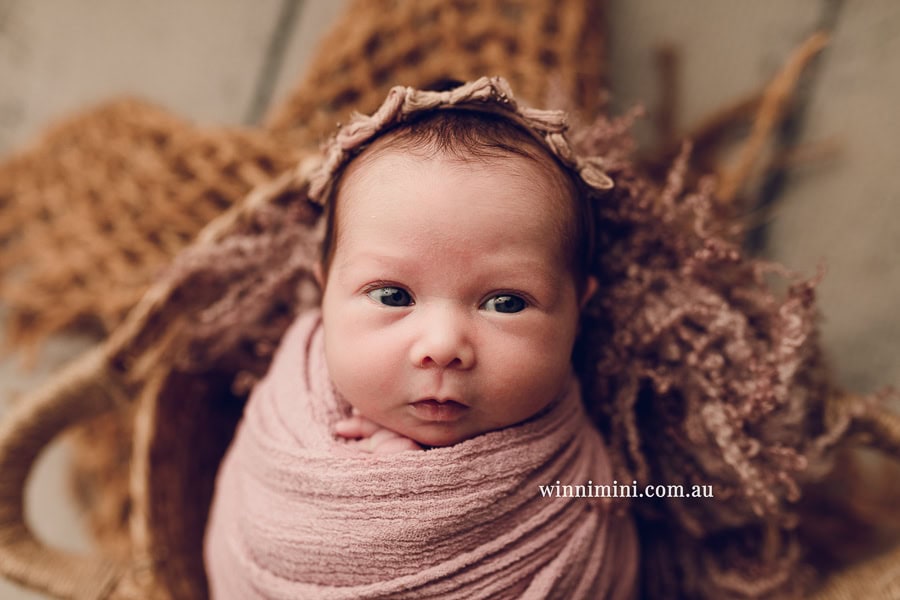 newborn baby family photographer tanha photography photograph photos photo babies gold coast brisbane the best family picture pictures tanha basile winni mini