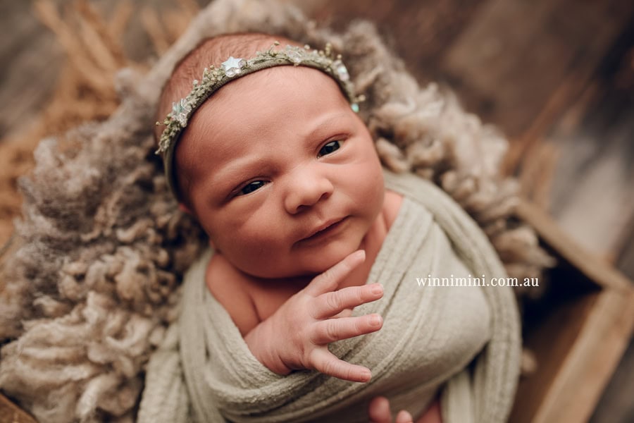 newborn baby family photographer tanha photography photograph photos photo babies gold coast brisbane the best family picture pictures tanha basile winni mini
