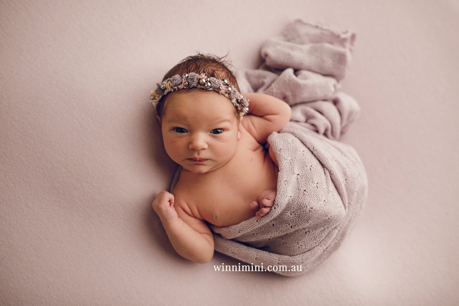 newborn baby family photographer tanha photography photograph photos photo babies gold coast brisbane the best family picture pictures tanha basile winni mini