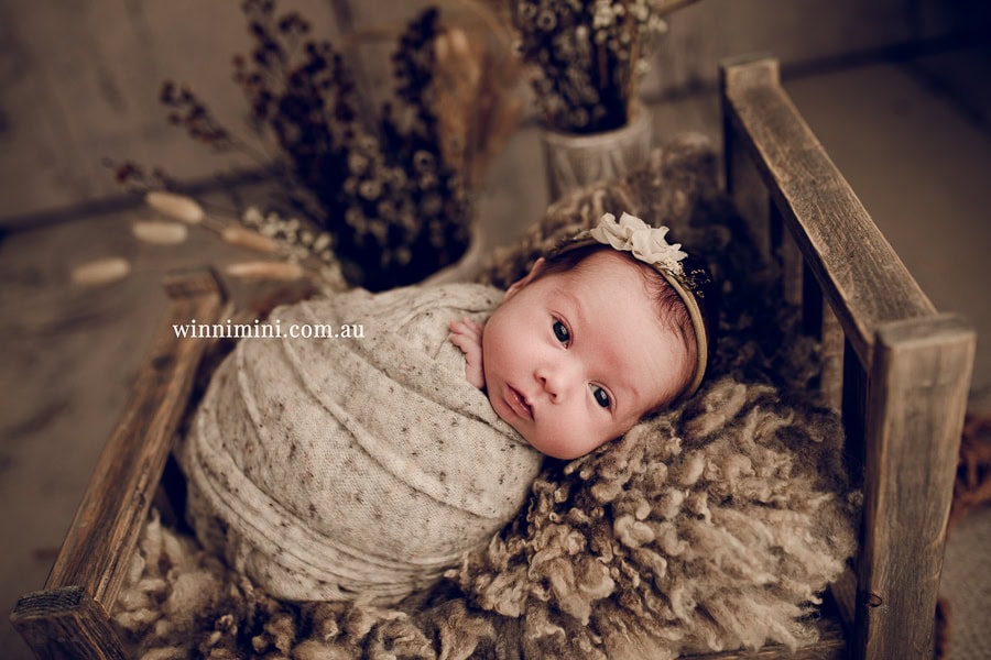 newborn baby family photographer tanha photography photograph photos photo babies gold coast brisbane the best family picture pictures tanha basile winni mini