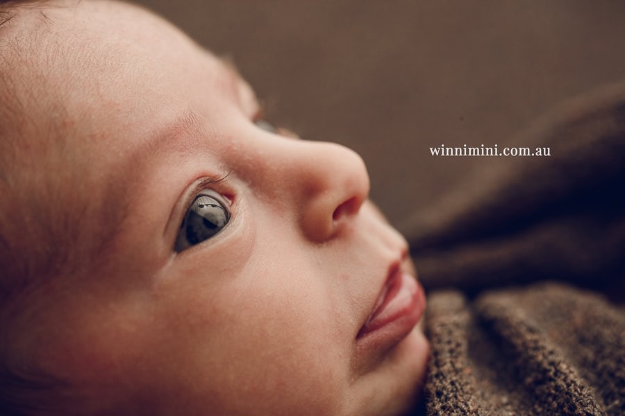 newborn baby family photographer tanha photography photograph photos photo babies gold coast brisbane the best family picture pictures tanha basile winni mini