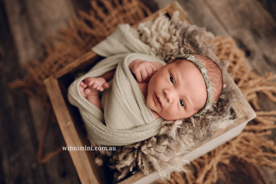 newborn baby family photographer tanha photography photograph photos photo babies gold coast brisbane the best family picture pictures tanha basile winni mini