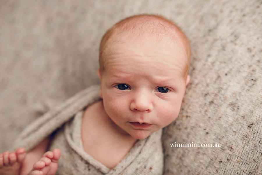 newborn baby family photographer tanha photography photograph photos photo babies gold coast brisbane the best family picture pictures tanha basile winni mini