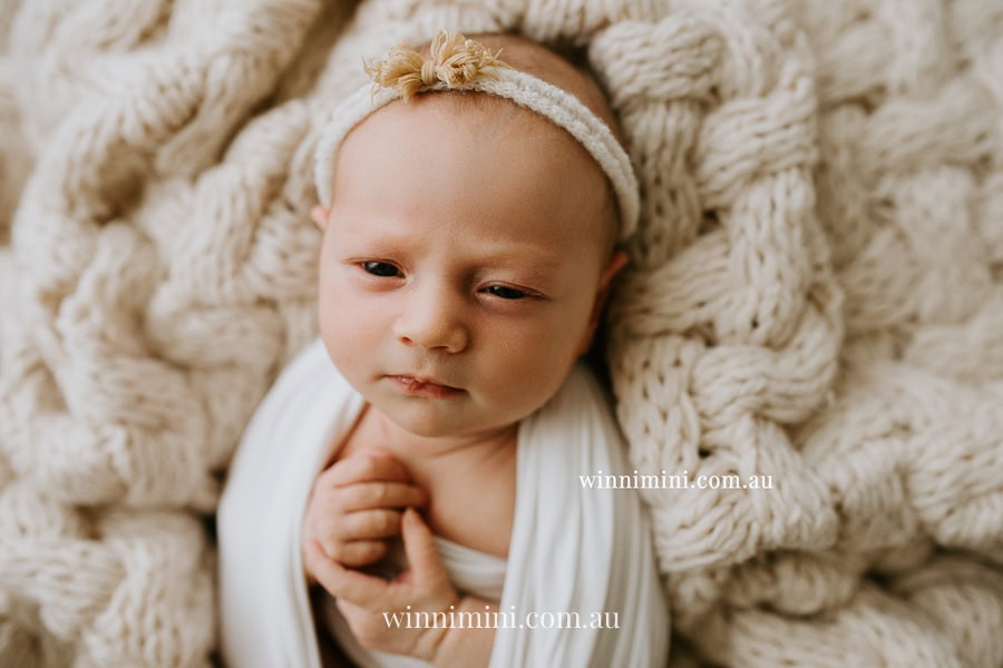 newborn baby family photographer tanha photography photograph photos photo babies gold coast brisbane the best family picture pictures tanha basile winni mini