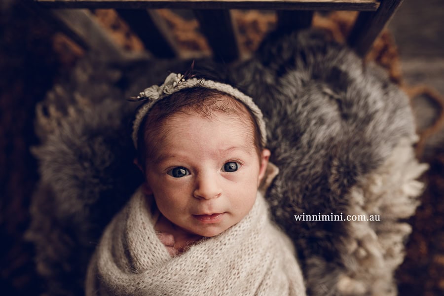 newborn baby family photographer tanha photography photograph photos photo babies gold coast brisbane the best family picture pictures tanha basile winni mini