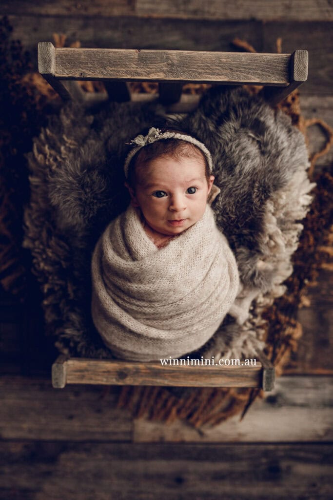 newborn baby family photographer tanha photography photograph photos photo babies gold coast brisbane the best family picture pictures tanha basile winni mini