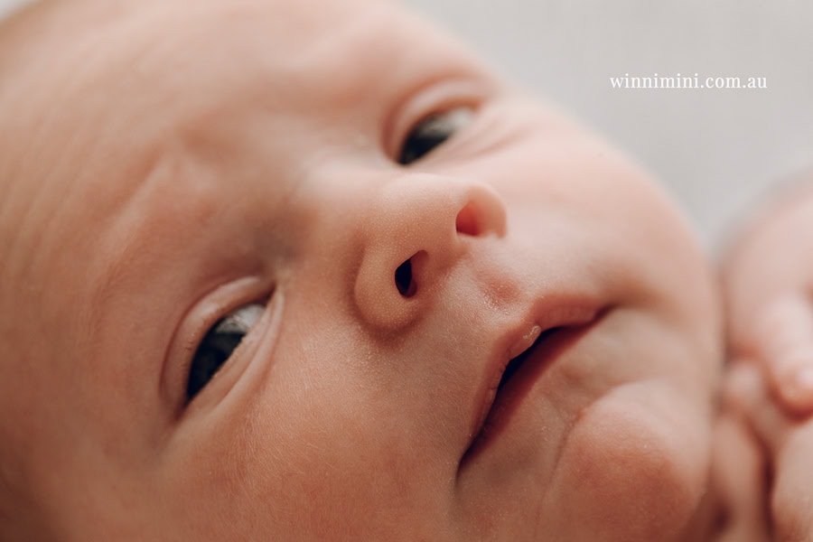 newborn baby family photographer tanha photography photograph photos photo babies gold coast brisbane the best family picture pictures tanha basile winni mini