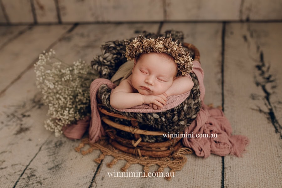 newborn baby family photographer tanha photography photograph photos photo babies gold coast brisbane the best family picture pictures tanha basile winni mini