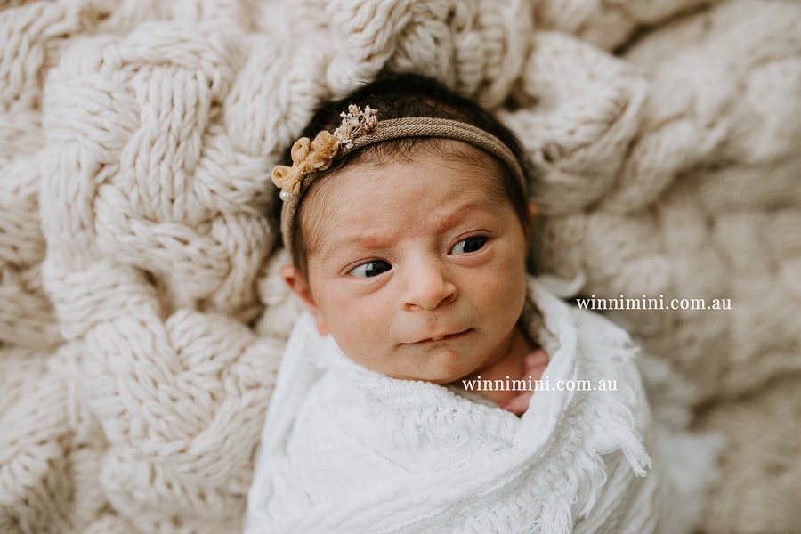 newborn baby family photographer tanha photography photograph photos photo babies gold coast brisbane the best family picture pictures tanha basile winni mini