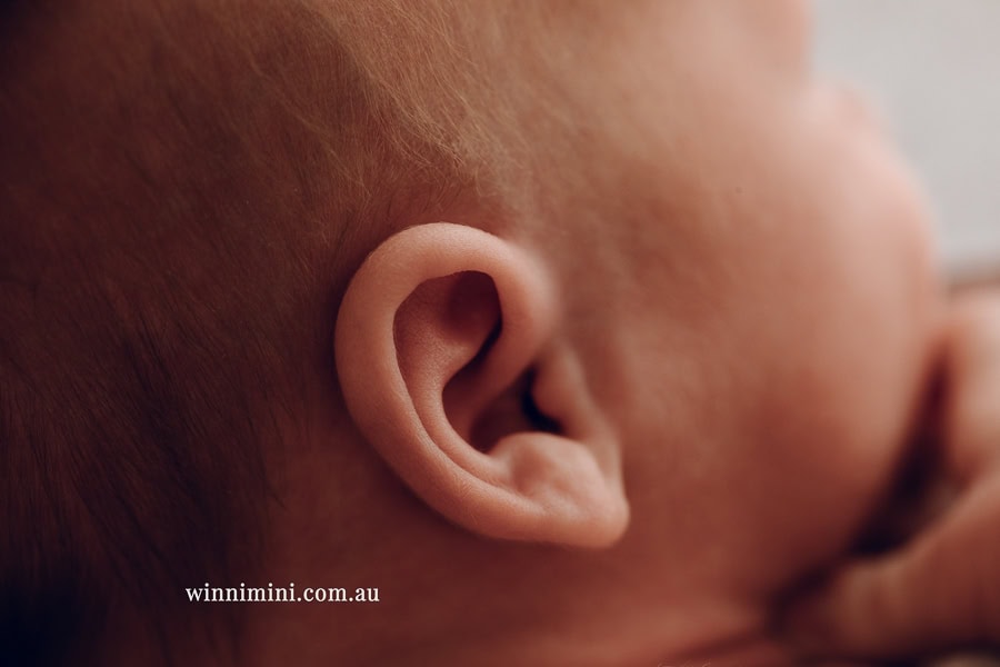 newborn baby family photographer tanha photography photograph photos photo babies gold coast brisbane the best family picture pictures tanha basile winni mini