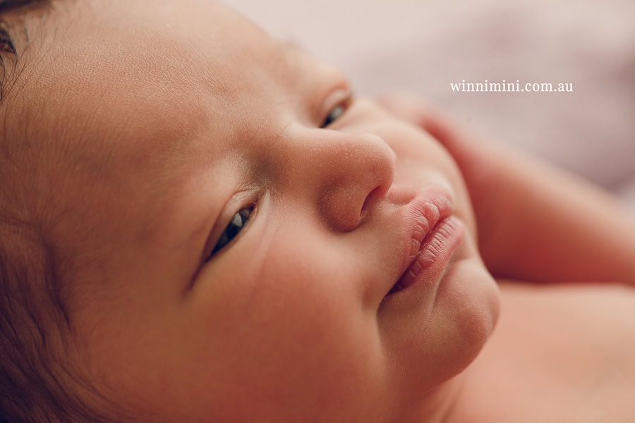newborn baby family photographer tanha photography photograph photos photo babies gold coast brisbane the best family picture pictures tanha basile winni mini
