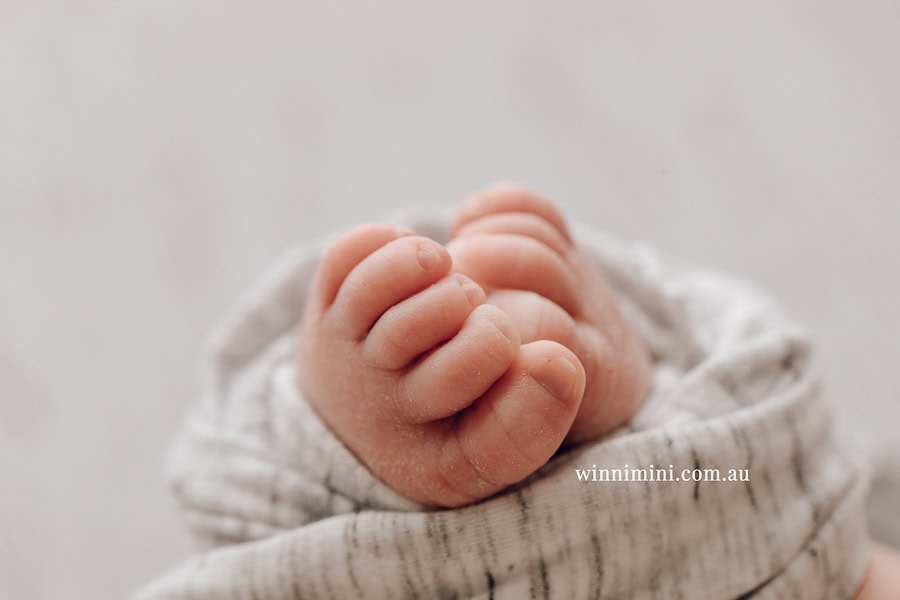 newborn baby family photographer tanha photography photograph photos photo babies gold coast brisbane the best family picture pictures tanha basile winni mini
