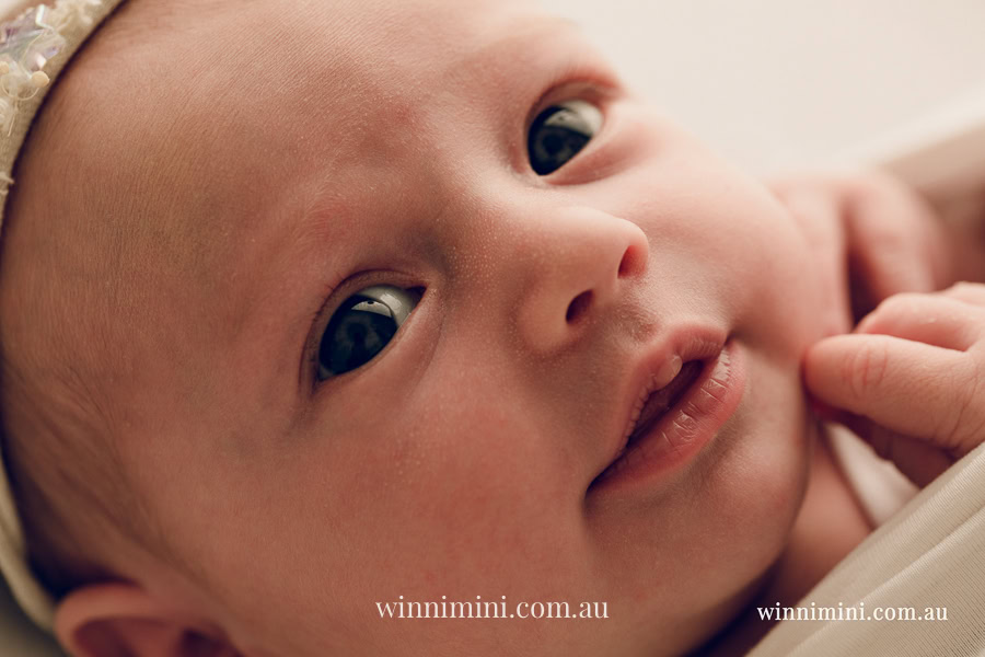 newborn baby family photographer tanha photography photograph photos photo babies gold coast brisbane the best family picture pictures tanha basile winni mini