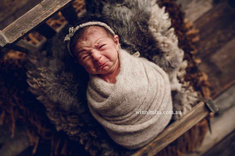 newborn baby family photographer tanha photography photograph photos photo babies gold coast brisbane the best family picture pictures tanha basile winni mini