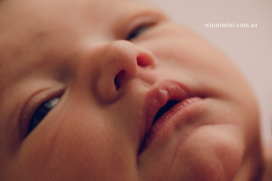 newborn baby family photographer tanha photography photograph photos photo babies gold coast brisbane the best family picture pictures tanha basile winni mini