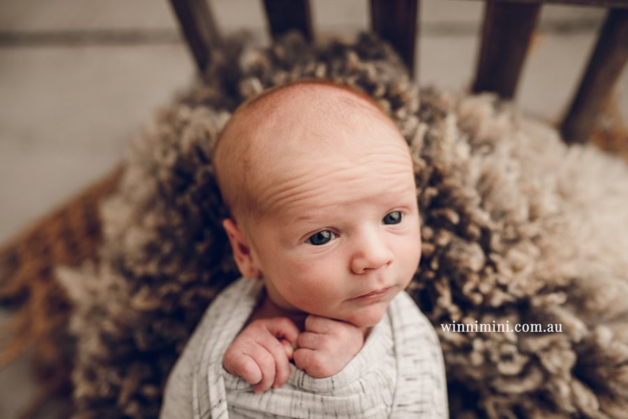 newborn baby family photographer tanha photography photograph photos photo babies gold coast brisbane the best family picture pictures tanha basile winni mini