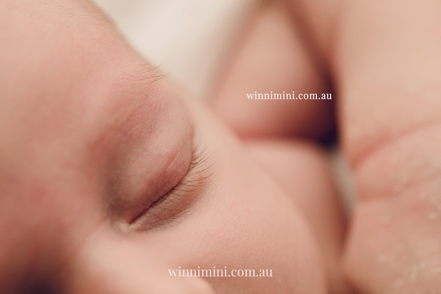 newborn baby family photographer tanha photography photograph photos photo babies gold coast brisbane the best family picture pictures tanha basile winni mini