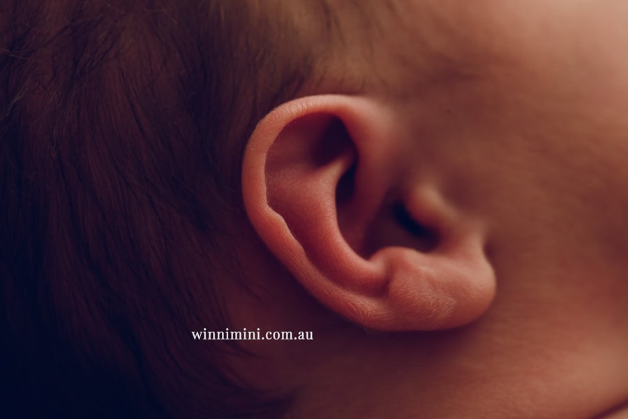 newborn baby family photographer tanha photography photograph photos photo babies gold coast brisbane the best family picture pictures tanha basile winni mini