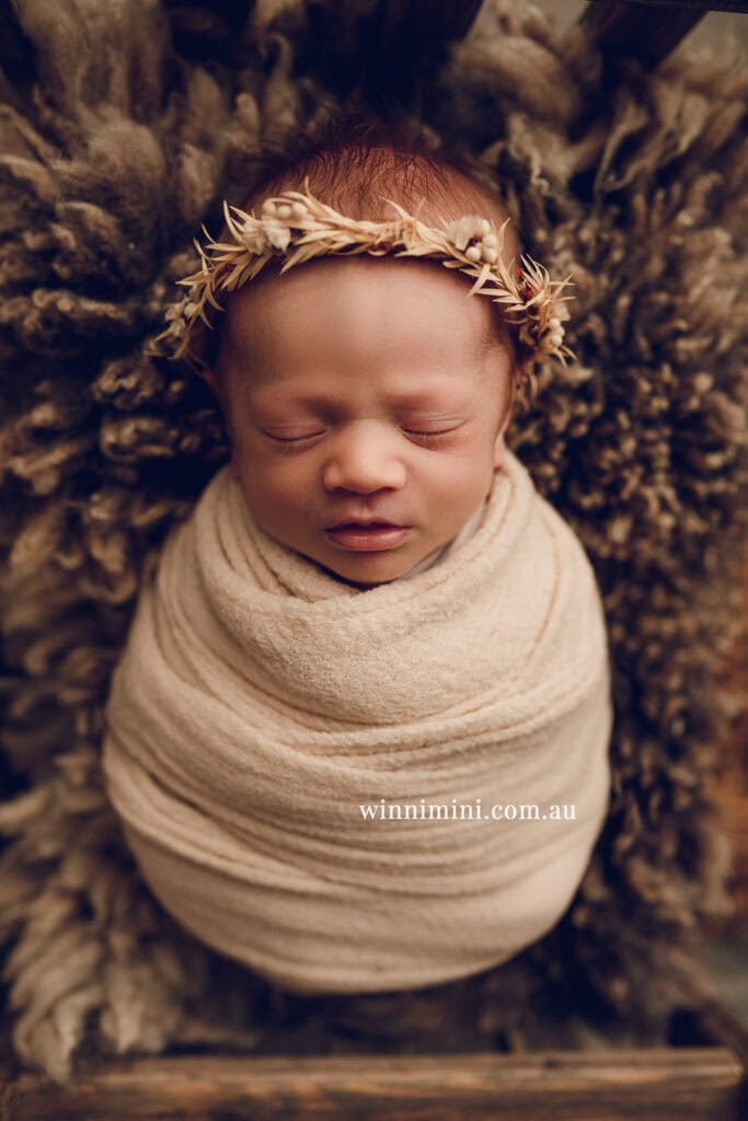newborn baby family photographer tanha photography photograph photos photo babies gold coast brisbane the best family picture pictures tanha basile winni mini