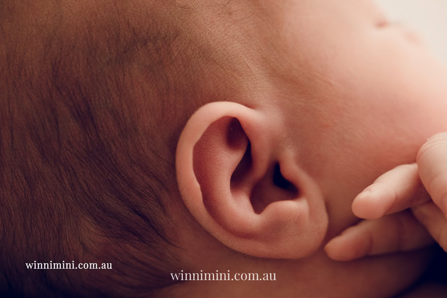 newborn baby family photographer tanha photography photograph photos photo babies gold coast brisbane the best family picture pictures tanha basile winni mini
