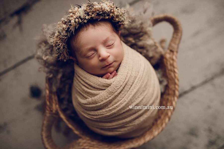 newborn baby family photographer tanha photography photograph photos photo babies gold coast brisbane the best family picture pictures tanha basile winni mini