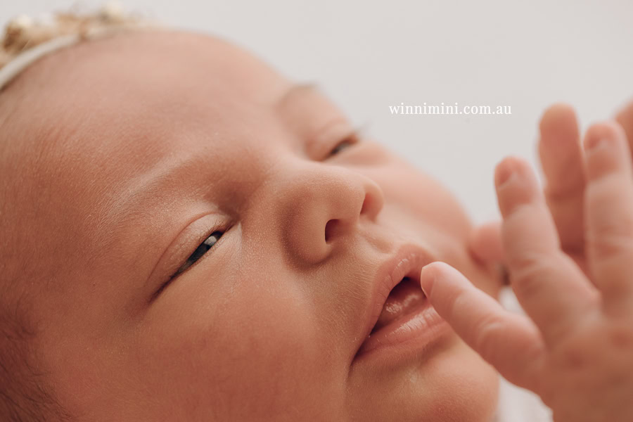 newborn baby family photographer tanha photography photograph photos photo babies gold coast brisbane the best family picture pictures tanha basile winni mini