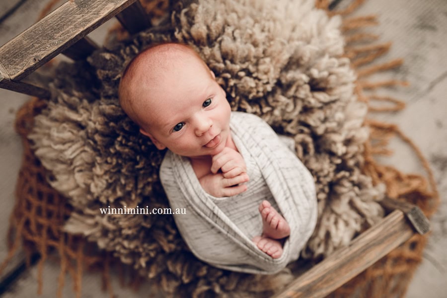 newborn baby family photographer tanha photography photograph photos photo babies gold coast brisbane the best family picture pictures tanha basile winni mini