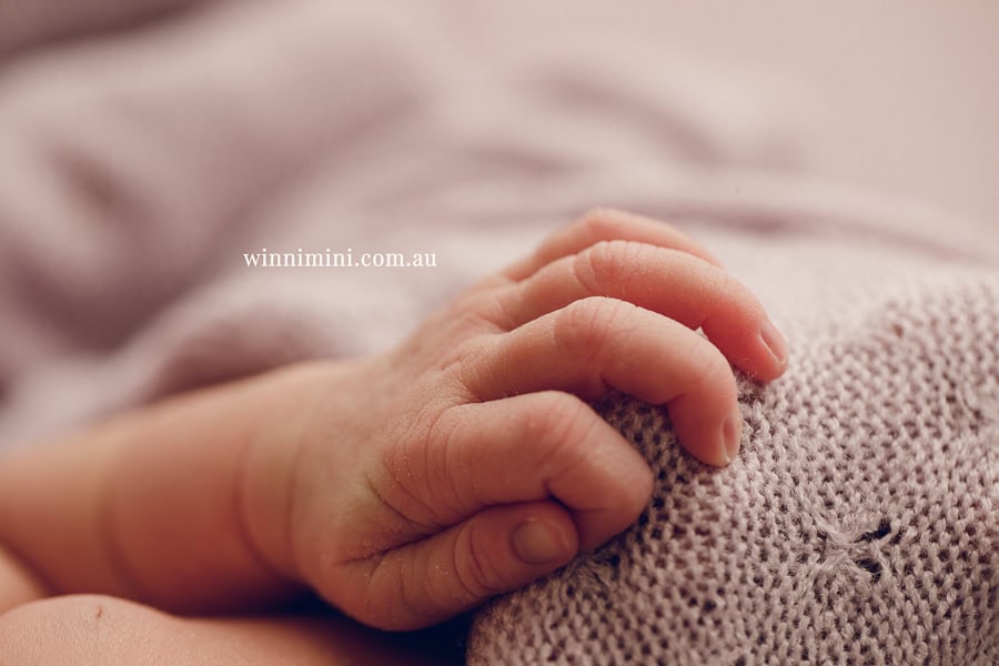 newborn baby family photographer tanha photography photograph photos photo babies gold coast brisbane the best family picture pictures tanha basile winni mini